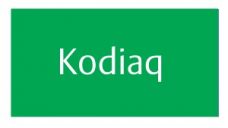 Kodiaq 2017-